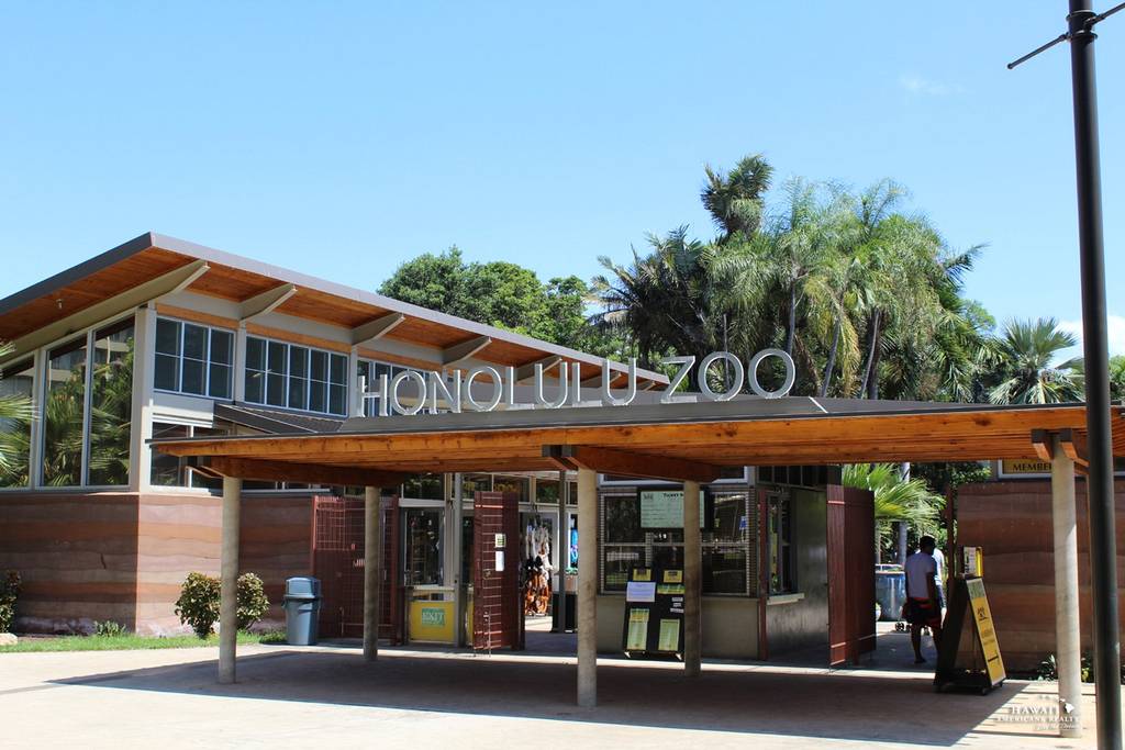 We're just across  from the Honolulu Zoo.